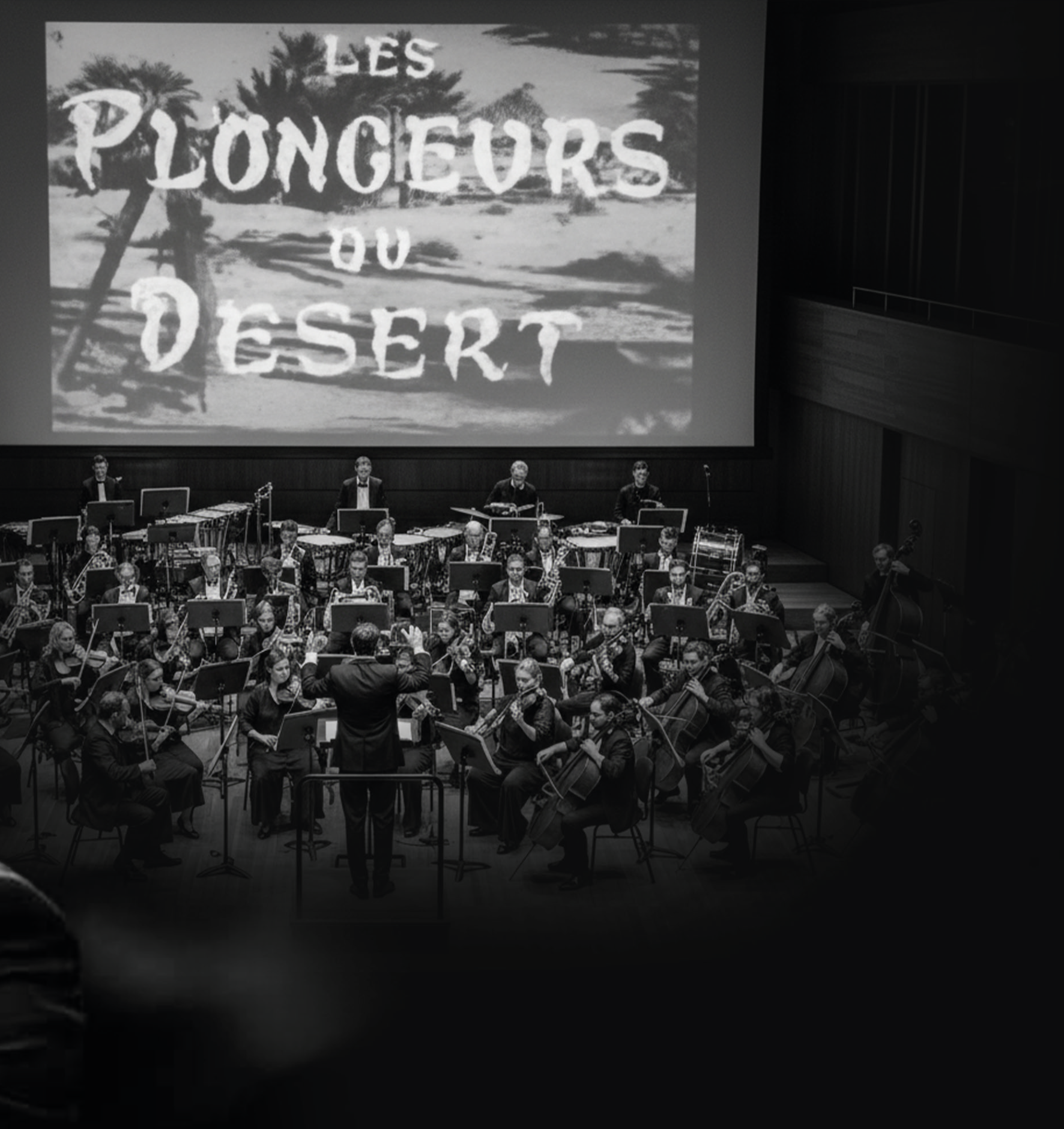 Film d’ouverture: Les Plongeurs du désert